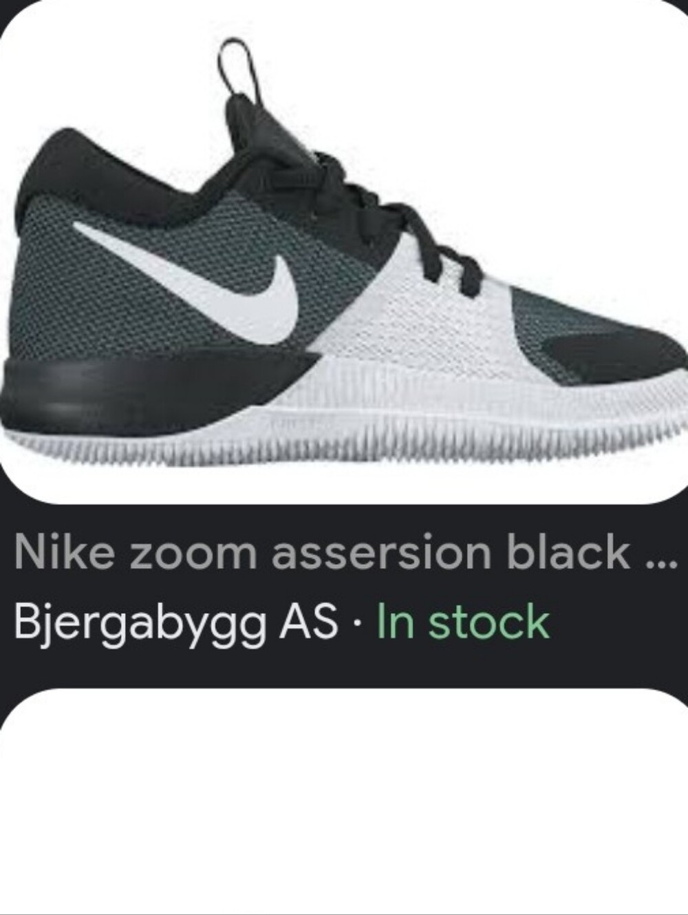 Nike Zoom Assersion basketball shoes featuring a white Nike swoosh